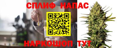 мдпв Аргун