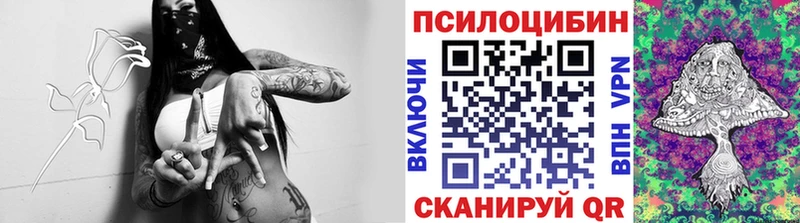 Галлюциногенные грибы Cubensis нарко площадка наркотические препараты Всеволожск