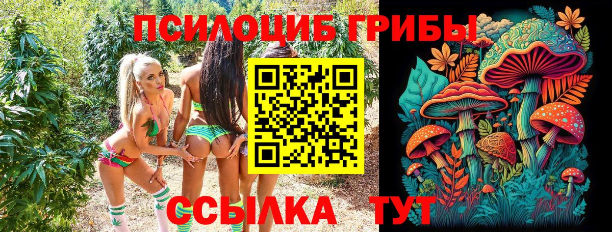 Галлюциногенные грибы прущие грибы Всеволожск