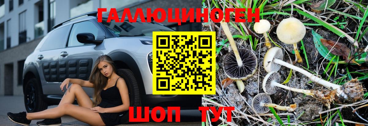 Псилоцибиновые грибы MAGIC MUSHROOMS  Вход с VPN  Всеволожск 