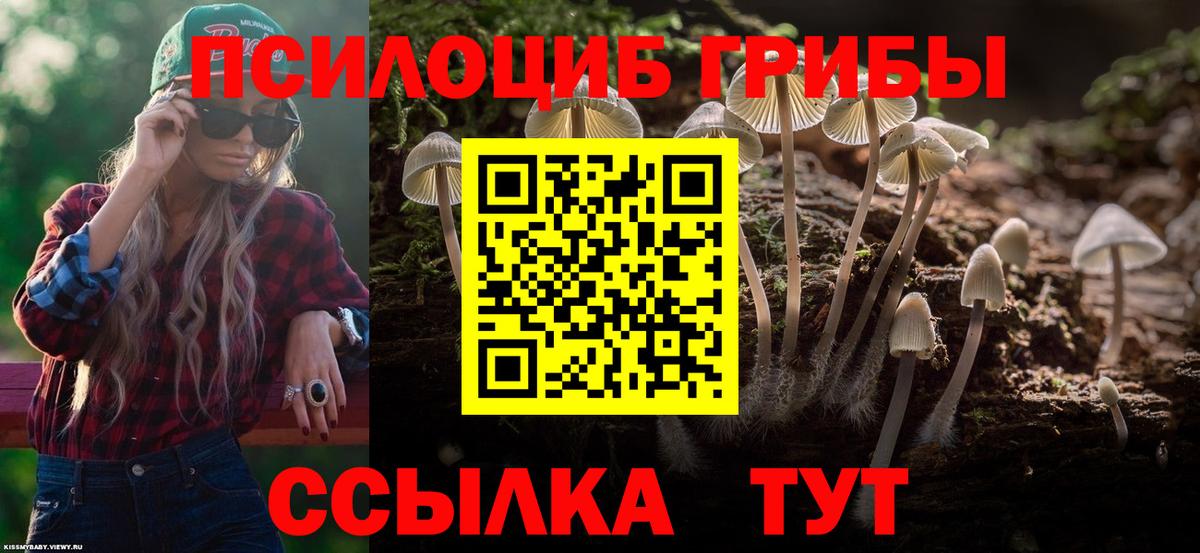 Псилоцибиновые грибы ЛСД  Всеволожск 